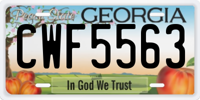 GA license plate CWF5563