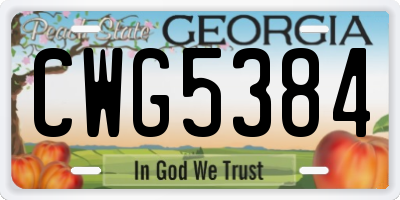 GA license plate CWG5384