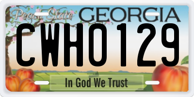 GA license plate CWH0129