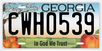 GA license plate CWH0539