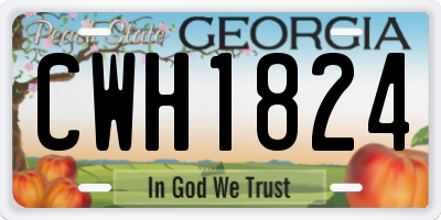 GA license plate CWH1824