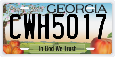GA license plate CWH5017