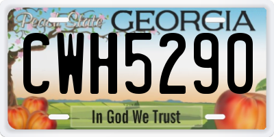 GA license plate CWH5290