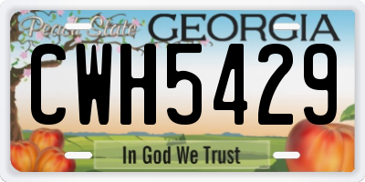 GA license plate CWH5429