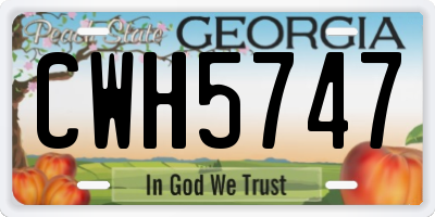 GA license plate CWH5747