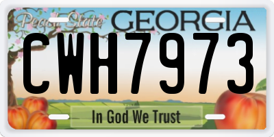 GA license plate CWH7973