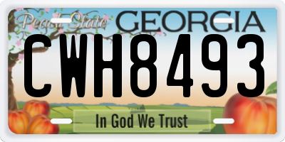 GA license plate CWH8493