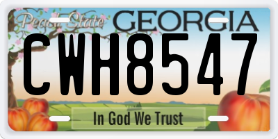 GA license plate CWH8547