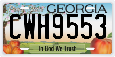 GA license plate CWH9553