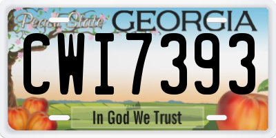 GA license plate CWI7393