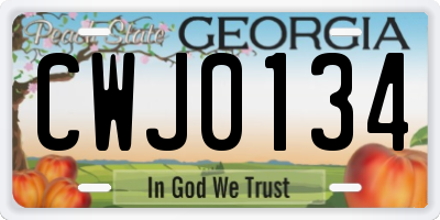 GA license plate CWJ0134