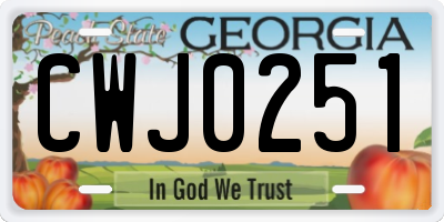 GA license plate CWJ0251
