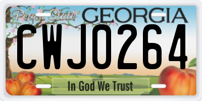 GA license plate CWJ0264