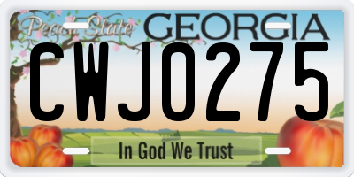 GA license plate CWJ0275