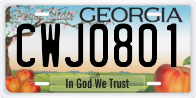 GA license plate CWJ0801