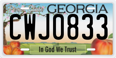 GA license plate CWJ0833