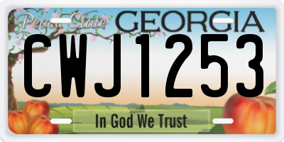 GA license plate CWJ1253