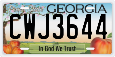 GA license plate CWJ3644
