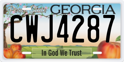 GA license plate CWJ4287