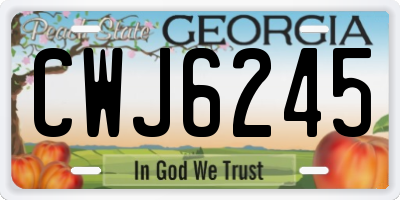 GA license plate CWJ6245