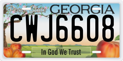 GA license plate CWJ6608