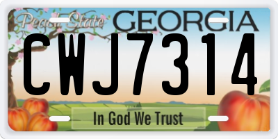 GA license plate CWJ7314