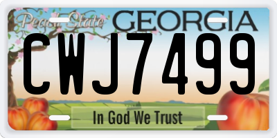 GA license plate CWJ7499