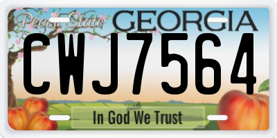 GA license plate CWJ7564