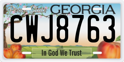 GA license plate CWJ8763
