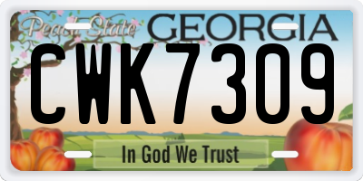 GA license plate CWK7309