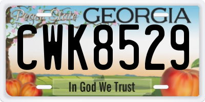 GA license plate CWK8529