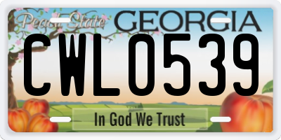GA license plate CWL0539