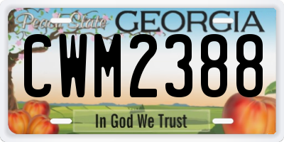 GA license plate CWM2388