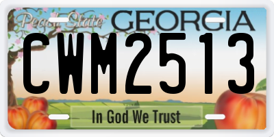 GA license plate CWM2513