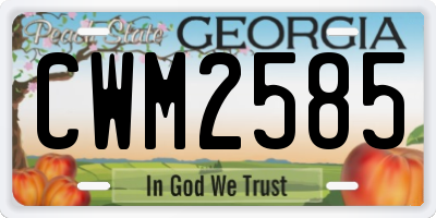 GA license plate CWM2585