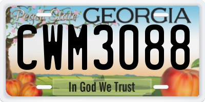 GA license plate CWM3088