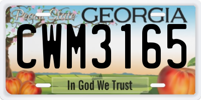 GA license plate CWM3165