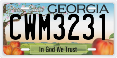 GA license plate CWM3231