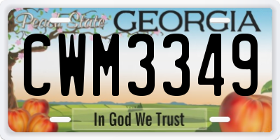 GA license plate CWM3349