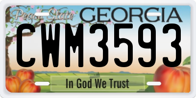 GA license plate CWM3593