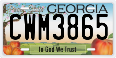 GA license plate CWM3865