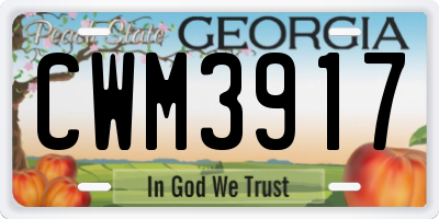 GA license plate CWM3917