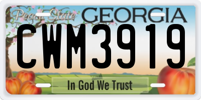 GA license plate CWM3919