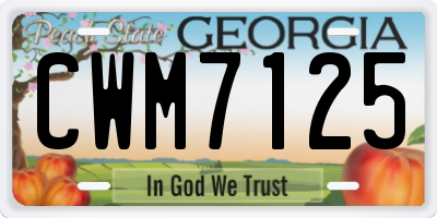 GA license plate CWM7125