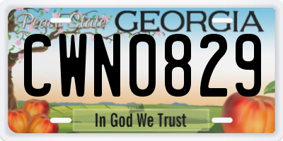 GA license plate CWN0829