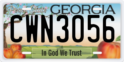 GA license plate CWN3056