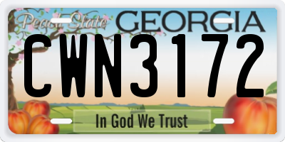 GA license plate CWN3172