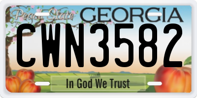 GA license plate CWN3582