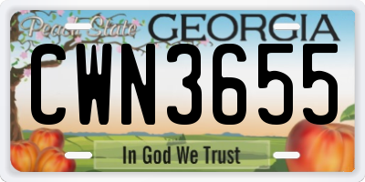GA license plate CWN3655