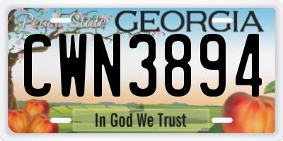 GA license plate CWN3894